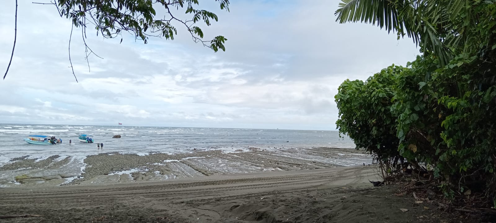 Recorrido por la Estación de Sirena en Corcovado